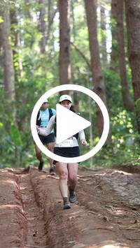 BIB:  <button type="button" onclick="openModal(26569691)" class="btn btn-primary btn-sm float-right" data-toggle="modal" data-target=".modal-high-quality">
                <i class="fa fa-download"></i> Download
                </button>